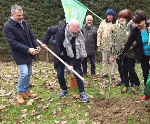 Bonaccini Zamboni Alberi