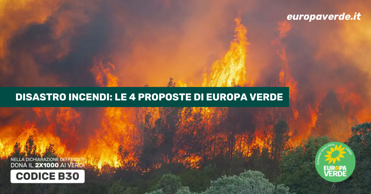 Proposte per combattere gli incendi