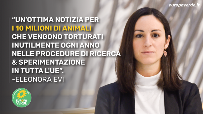 Evi