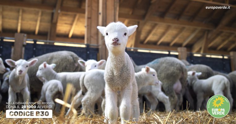 benessere animale