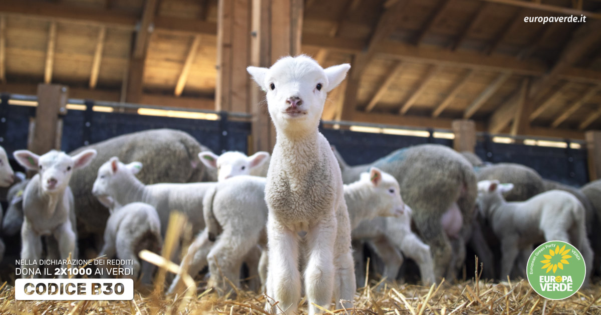 benessere animale
