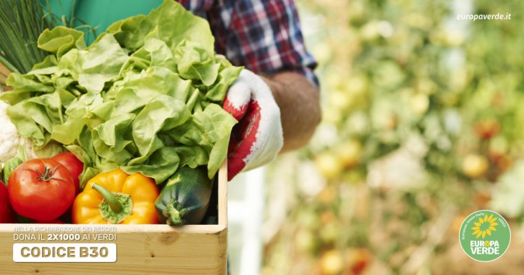 farm to fork