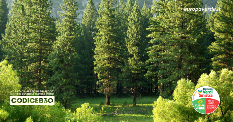 forestazione