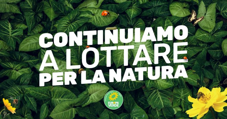 Natural Law