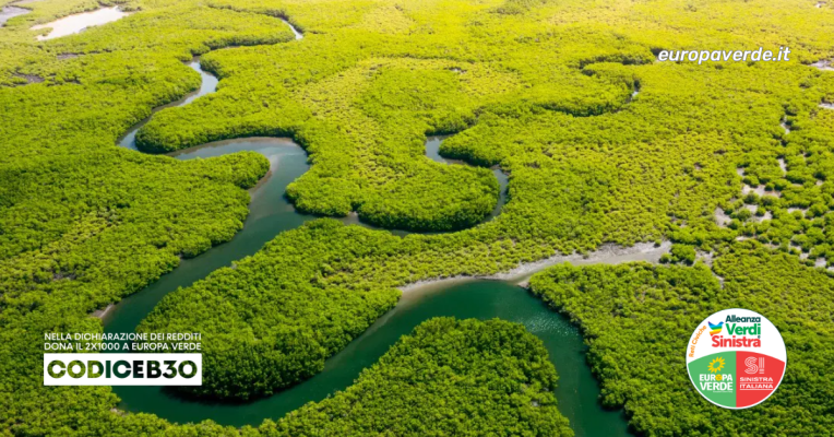 SACE-amazzonia