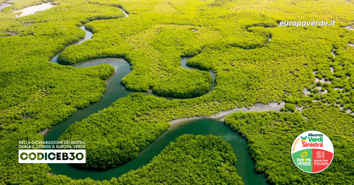 SACE-amazzonia