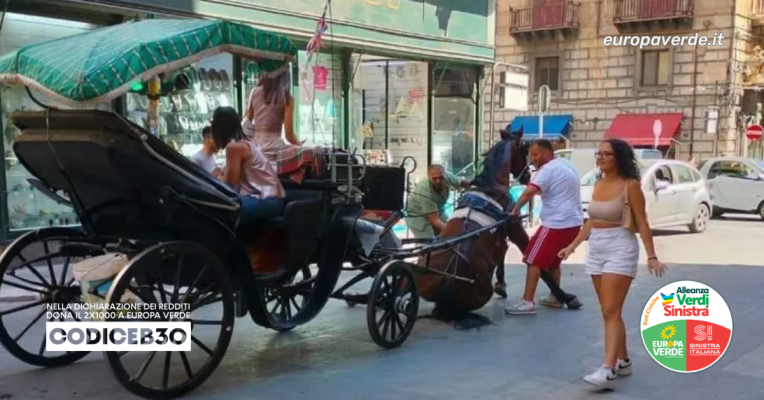 palermo-cavalli