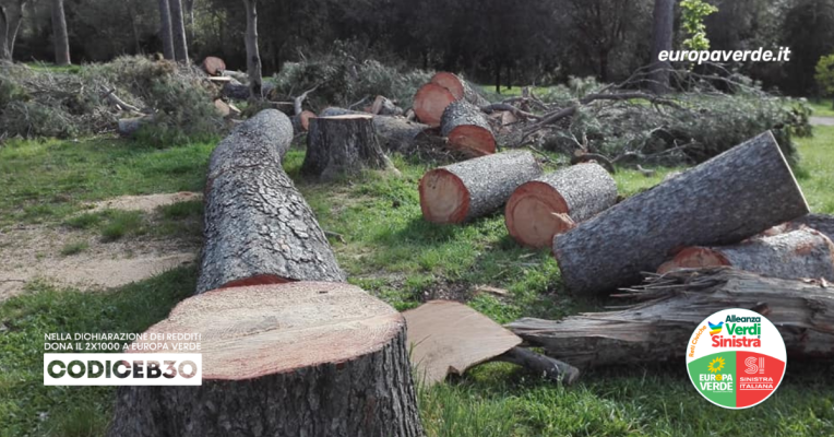 golpe-natura