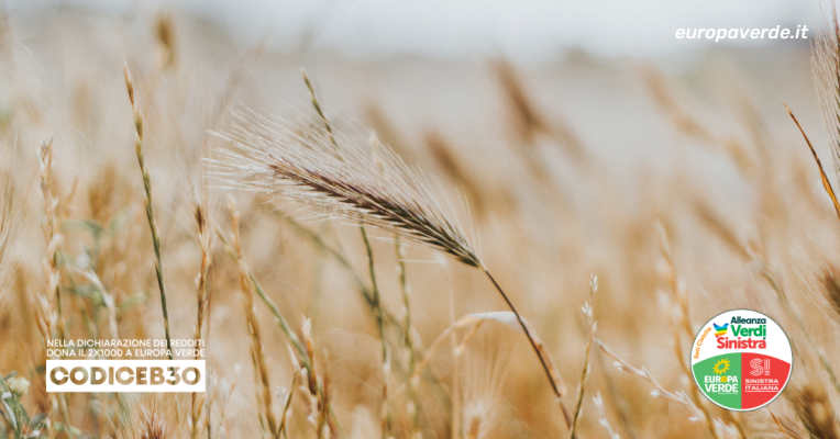 agricoltura
