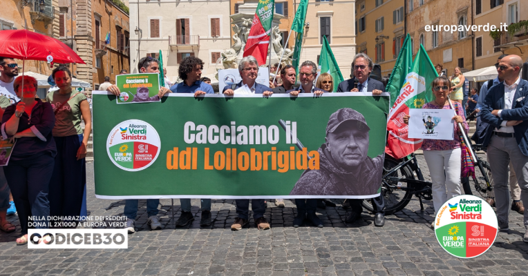 caccia