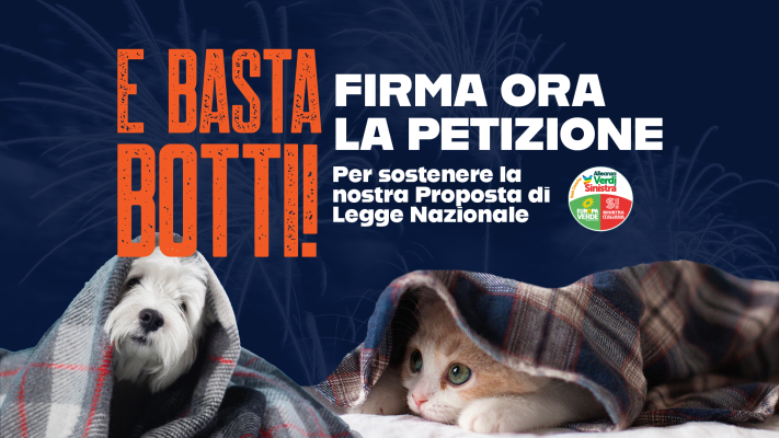 Petizione: E basta botti!